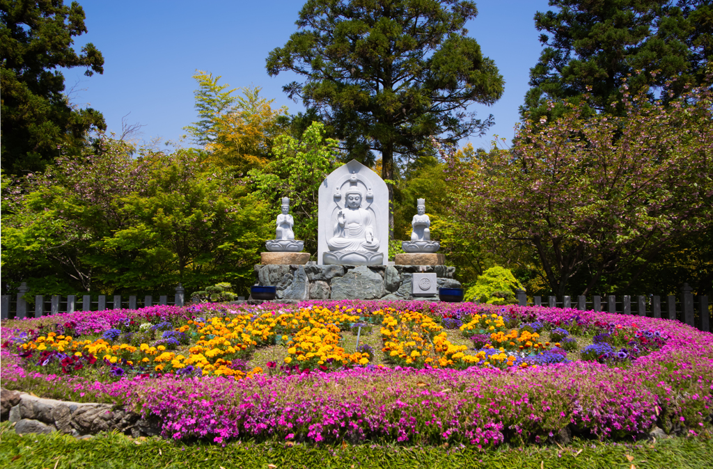 大仏様とお花畑