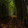 Bamboo　road 