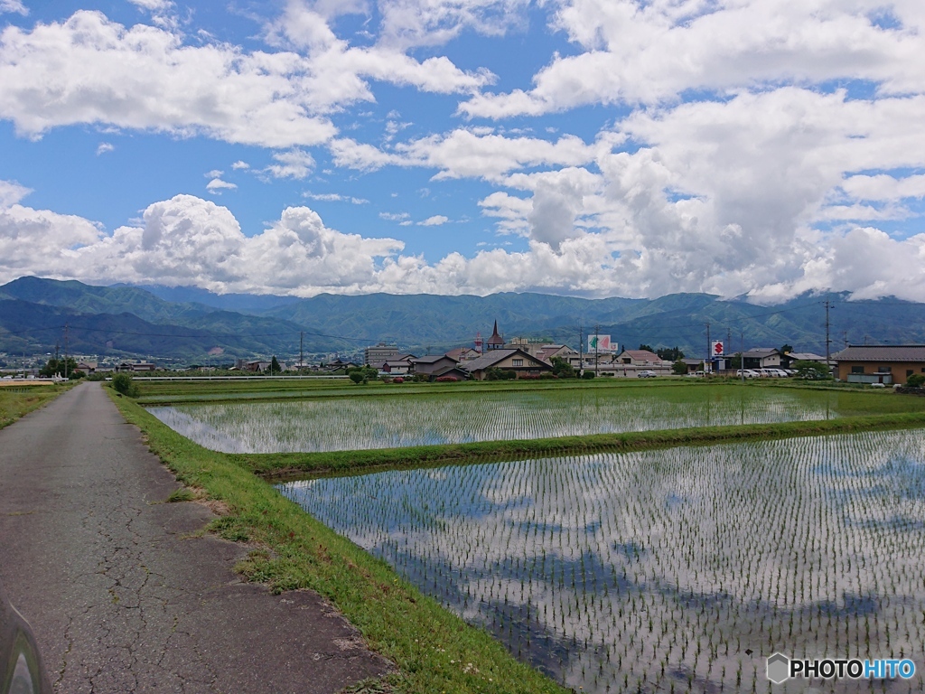 田んぼのある風景