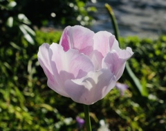 山下公園にて