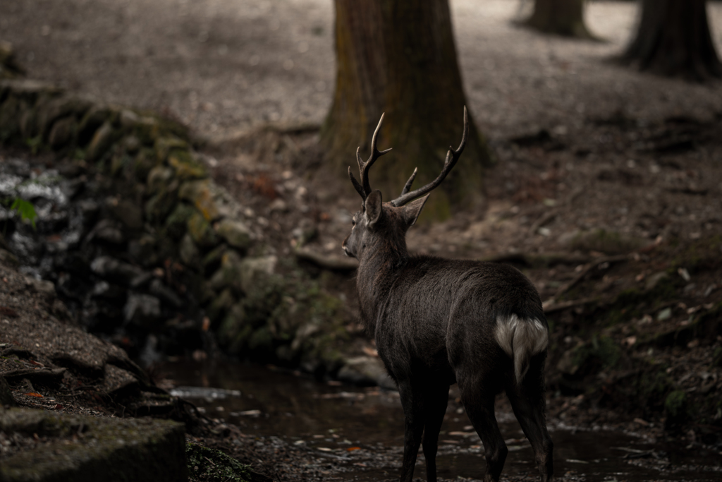 何処へ向かうん？