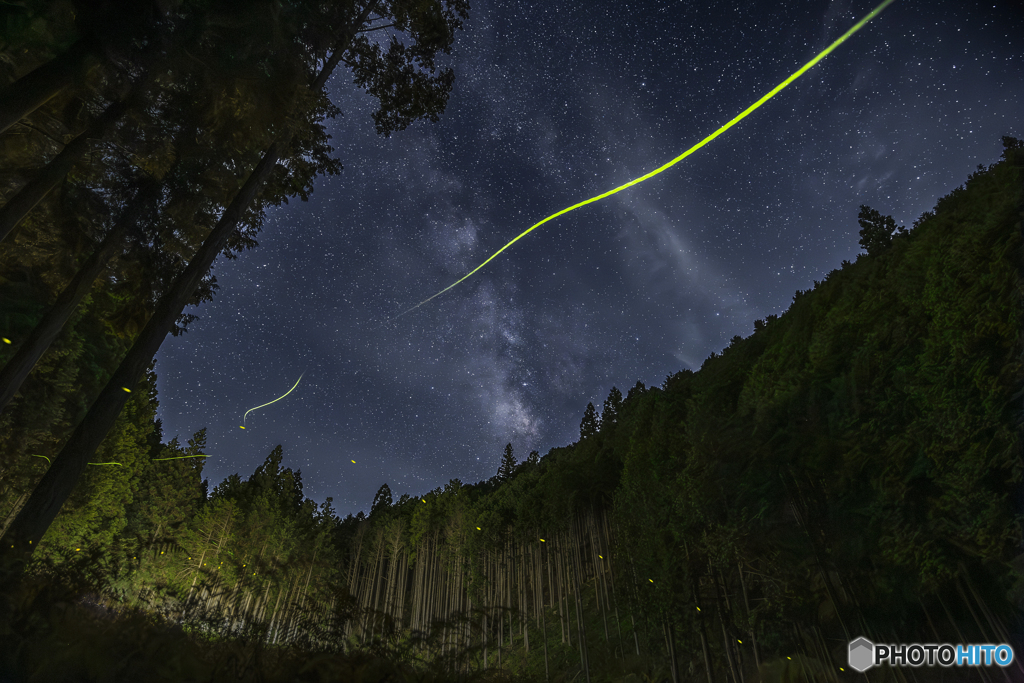 星降る夜は