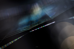 Adobe RGB