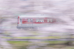 春の景色のなかで