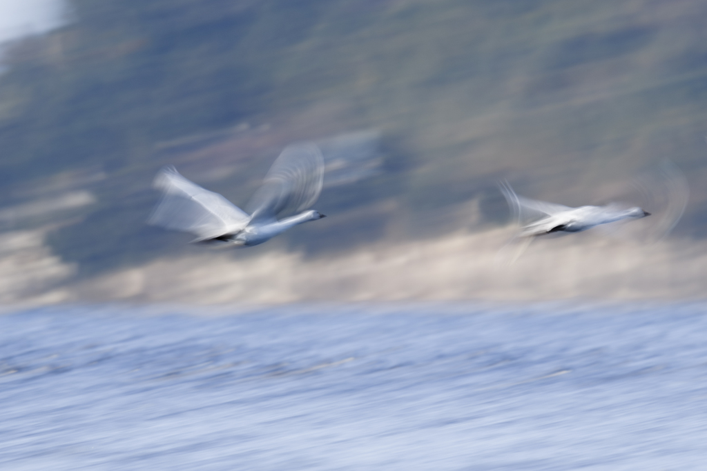 ちょっと待って