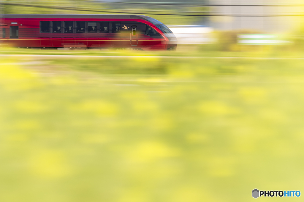 春の観光列車