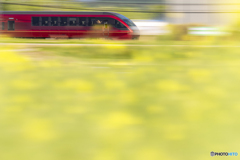 春の観光列車