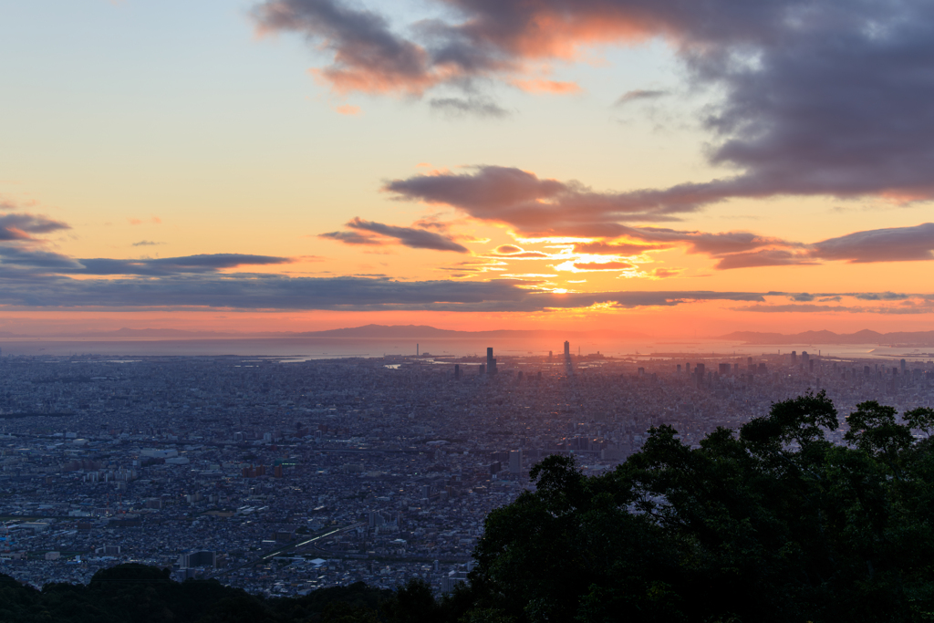 大阪の街