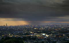 雨