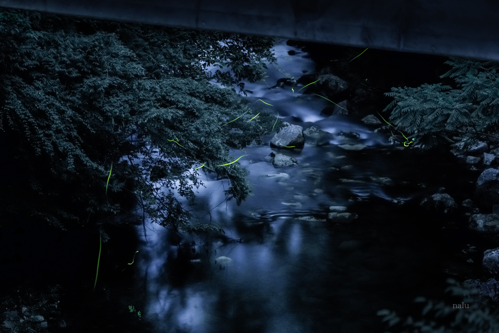 橋の下