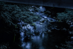 橋の下