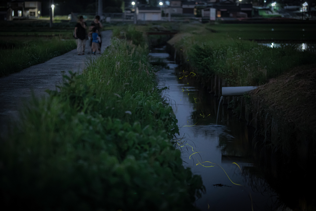 夕涼み