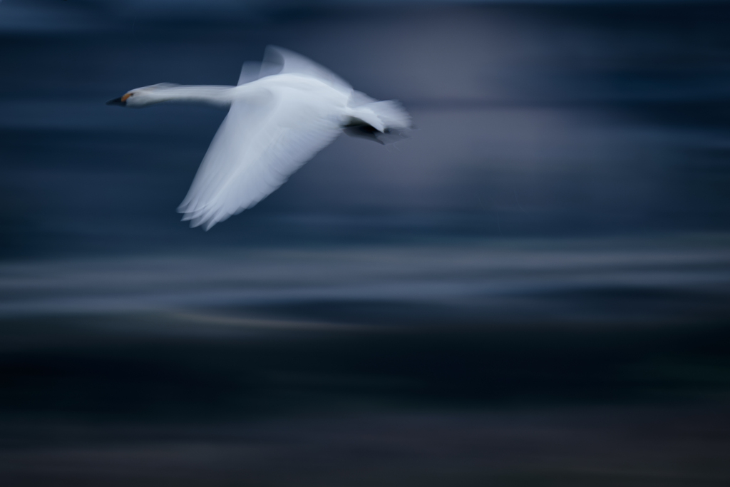 流れる景色