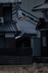 瓦と同じ色ツル