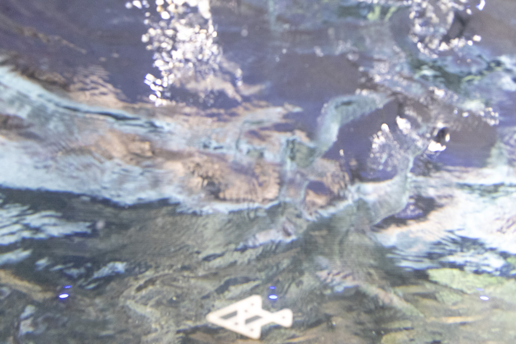 水の中から撮った水面