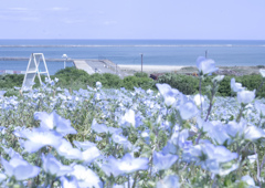 過去の写真のレタッチリメイク