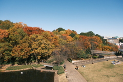 里山の紅葉