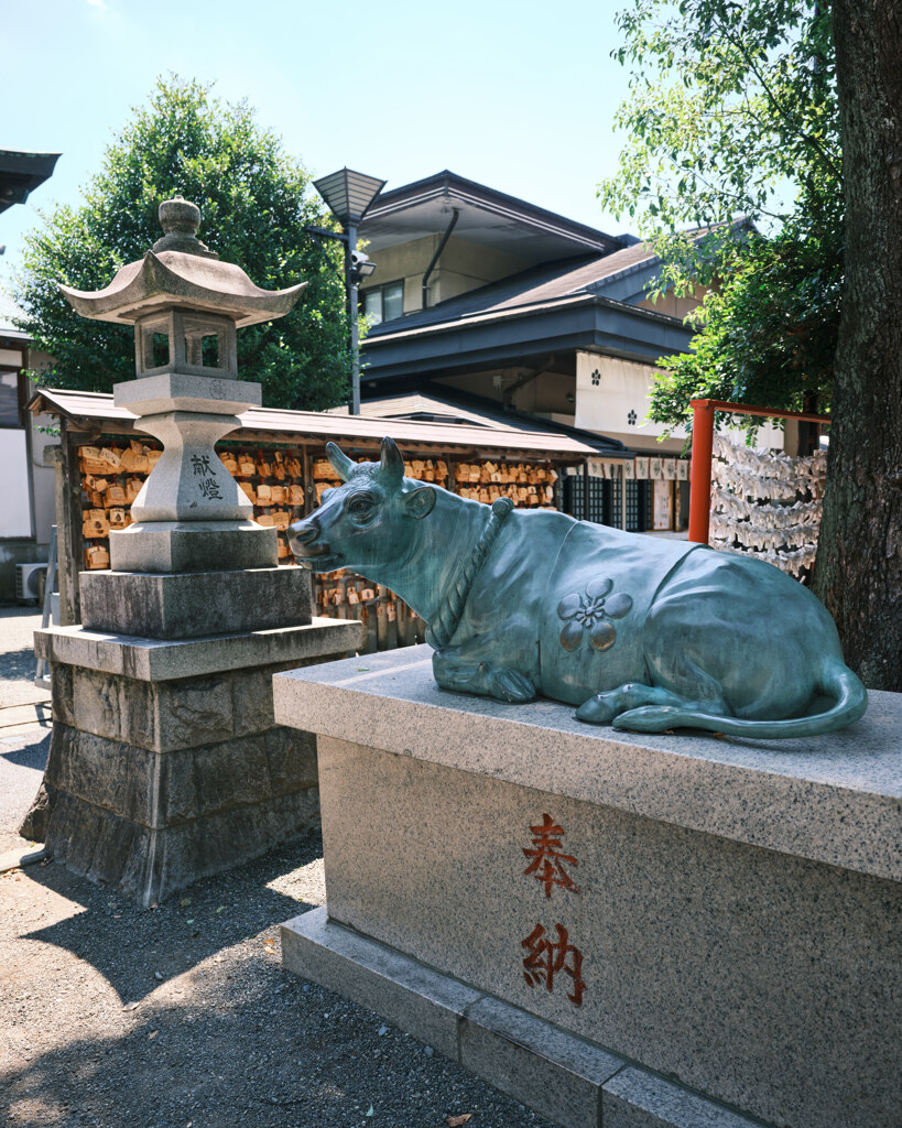町田天満宮の撫で牛（青銅製）