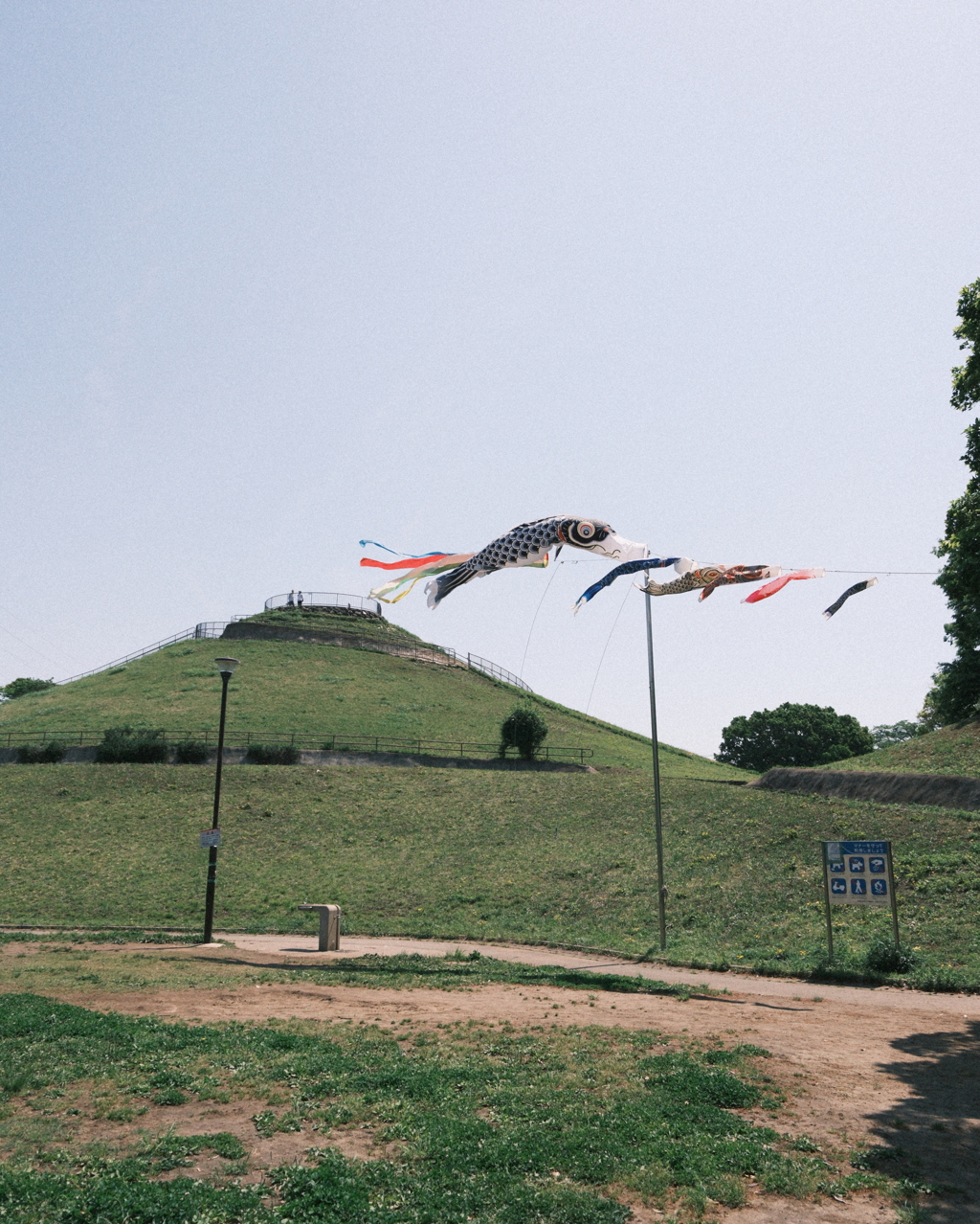 川和富士公園の鯉のぼり