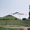 川和富士公園の鯉のぼり
