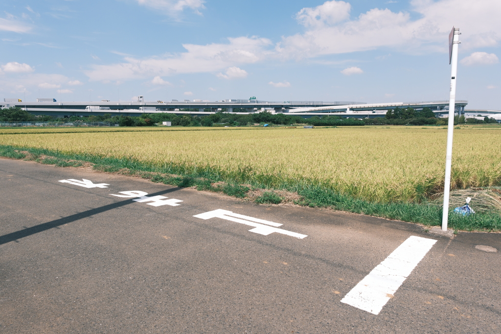 止まれと田んぼ