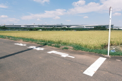止まれと田んぼ