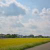 雲と田んぼ