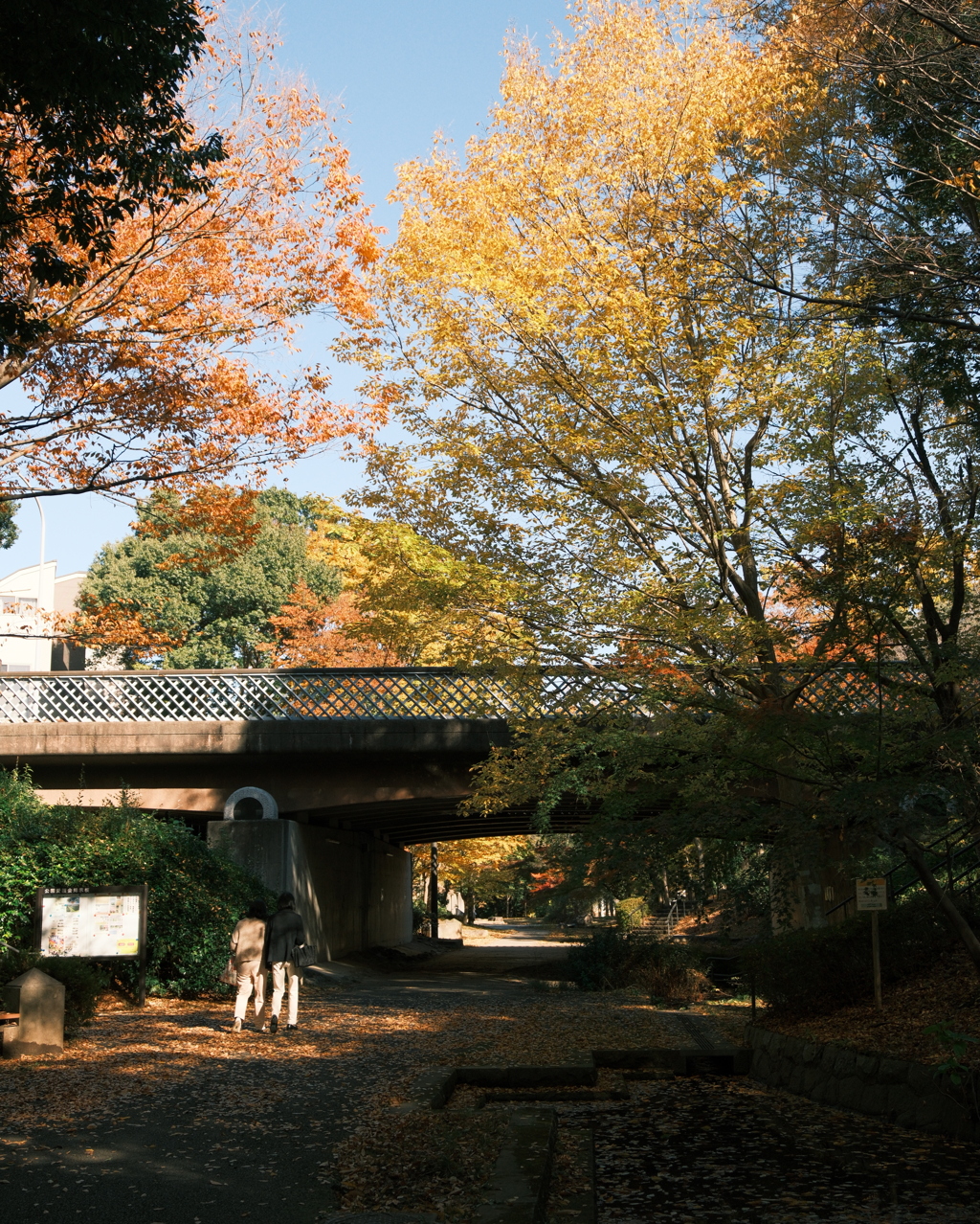 ささぶねのみちの紅葉