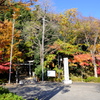 茅ヶ崎杉山神社の鳥居周辺の紅葉