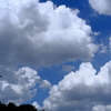 わた雲（積雲）