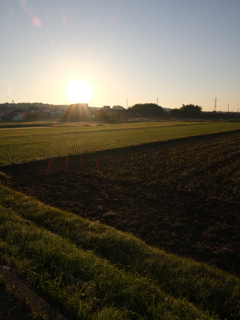 収穫を終えた田んぼと朝日