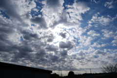 1月の層積雲