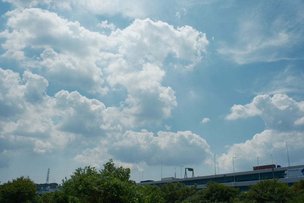 9月上旬の積雲