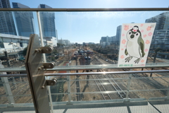 鹿島田跨線歩道橋からの景観