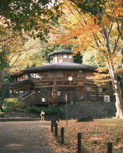 秋の鴨池公園こどもログハウス