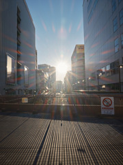 町田駅前通りに昇る朝日