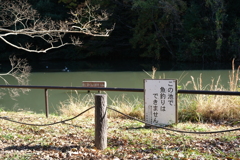 この池で魚釣りはできません