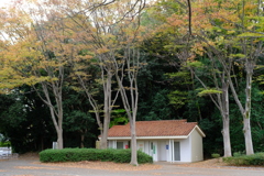 公園のトイレと紅葉