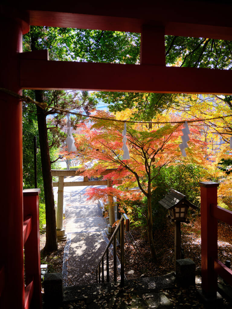鳥居と紅葉