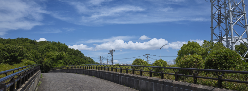関東も梅雨明けしてた