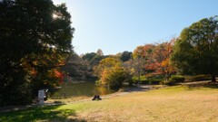 秋の鴨池