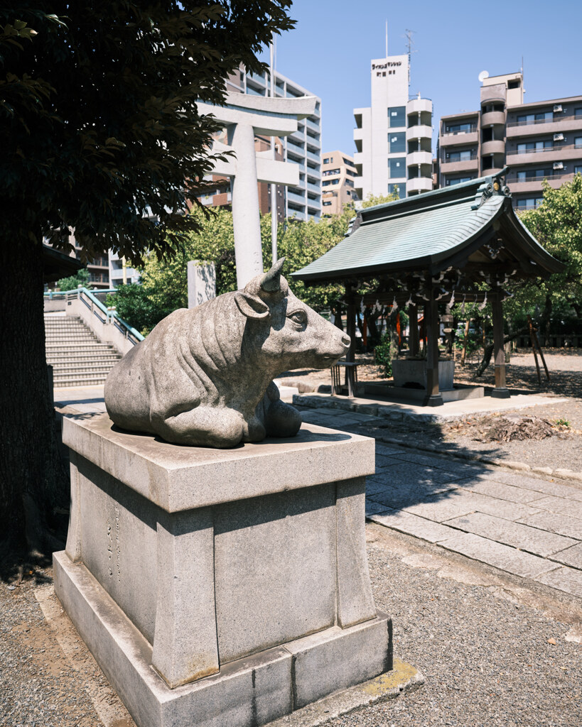 町田天満宮の撫で牛（石製）