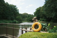 池の救命浮輪