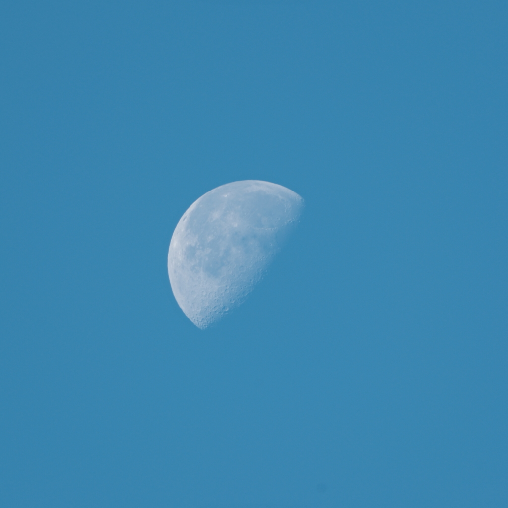 11月の残月
