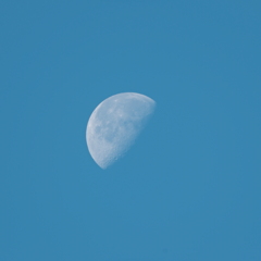 11月の残月