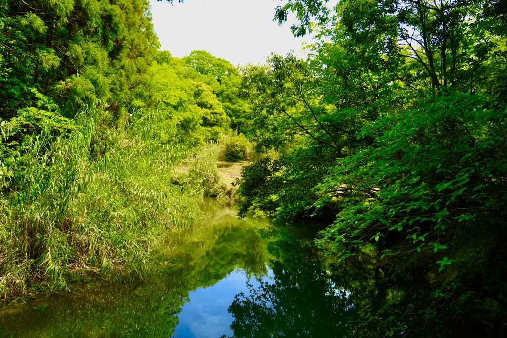 木場川 by ばっさー8961 （ID：11753290） 写真共有サイトPHOTOHITO