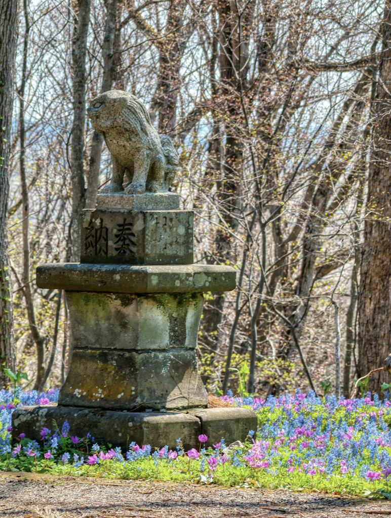 北海道浦臼神社の春