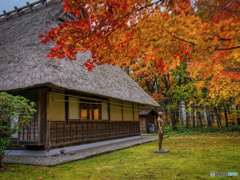 十勝の秋