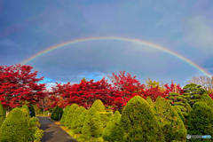 冷たい雨に打たれて