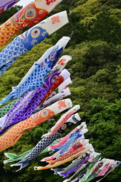 鯉のぼり
